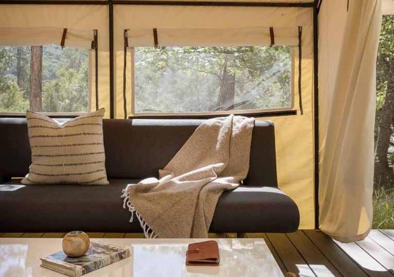 Autocamp Cape Cod 호텔 팔머스 외부 사진